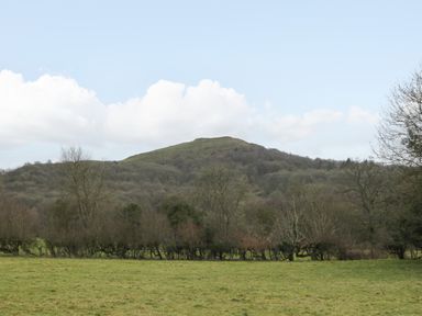 A grassy field with leafless trees and a hill in the background at Evendine Hut @ Evendine Cottage in Colwall Herefordshire