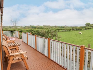 An outdoor wooden deck with chairs and a railing overlooking a green field with sheep at Y Caban in Brynsiencyn