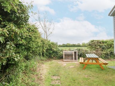 An outdoor area with a picnic table and a barbecue grill surrounded by green bushes at Y Caban in Brynsiencyn