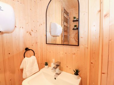 A bathroom sink with a mirror towel ring soap dispenser and small potted plants at The Five Bells Inn in Upwell