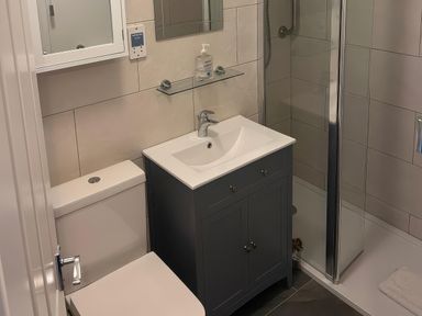 A bathroom with a sink, toilet, and shower at 9 Oakley Wharf Porthmadog