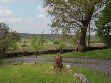 A view of a tree and pathway at The Long House in Penmachno