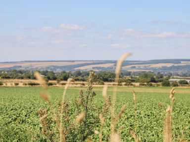 A rural landscape with green fields and distant hills under a blue sky at Lazy Dayz Lodge in East Heslerton near Malton