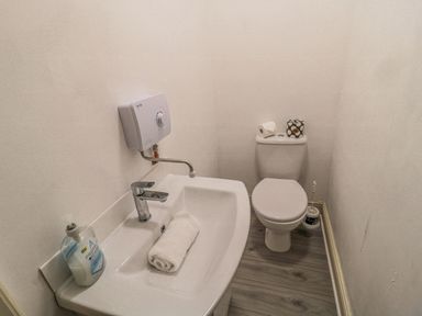 A small bathroom with a toilet a sink with a towel and liquid soap at The Haven in North Sunderland near Seahouses