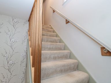 A carpeted staircase with wooden railing and floral wallpaper on one side at The Haven in North Sunderland near Seahouses