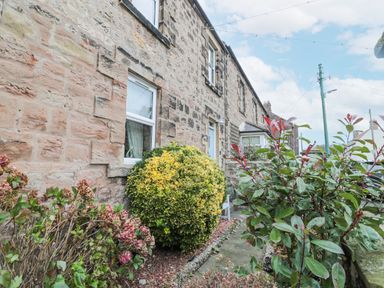 A stone house exterior with a white door a window and bushes in front at The Haven in North Sunderland near Seahouses