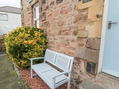 A white wooden bench outside next to a brick wall and a green and yellow shrub at The Haven in North Sunderland near Seahouses
