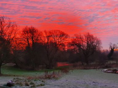 A field with frost on the grass and leafless trees under a red and pink sunset sky at The Hayloft in Haddiscoe