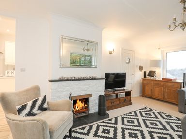 A living room with an armchair a fireplace a mirror a television on a wooden stand a wooden sideboard and a patterned rug at 15 Maes Awel in Abersoch