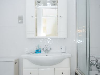 A bathroom with a sink, a mirror cabinet, a toilet, and a shower enclosure at 24 Valley Lodge in Honicombe Park near Drakewalls