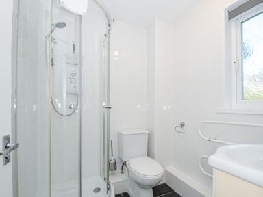 A small bathroom with a shower enclosure toilet and sink at 24 Valley Lodge in Honicombe Park near Drakewalls