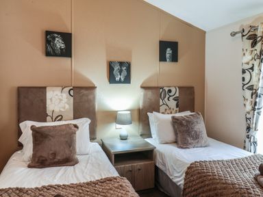 A bedroom with two single beds with brown pillows and blankets a bedside table and lamp between the beds animal pictures on the wall and patterned curtains at Evergreen Pines in Cayton Bay near Scarborough