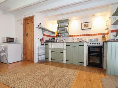 A kitchen with green cabinets a wooden door a microwave on a white fridge and a double oven at Oofoo's Barn in Mullion