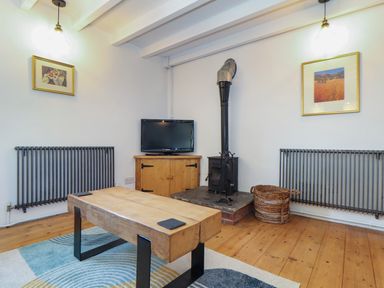 A living room with a wood stove TV on wooden cabinet coffee table and two wall radiators at Oofoo's Barn in Mullion