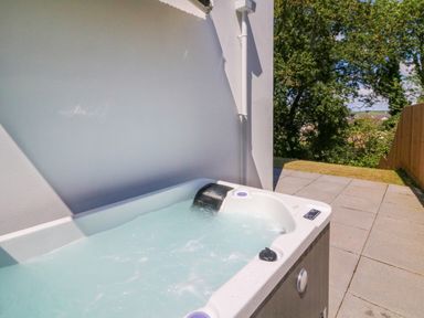An outdoor hot tub on a paved patio next to a white wall with trees and a wooden fence in the background at Valise in Bideford