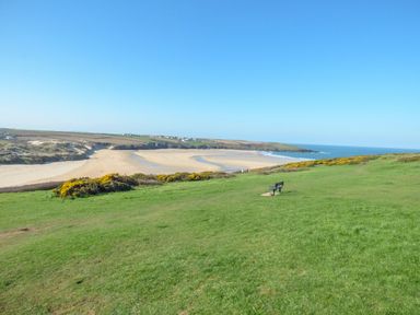 A grassy hill with a bench overlooking a sandy beach and the ocean at Wildwood in Newquay