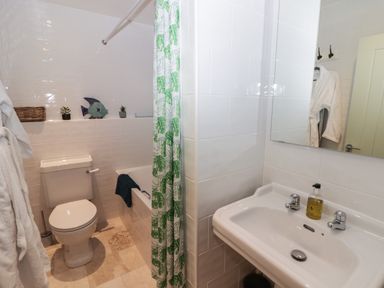 A bathroom with a toilet, bathtub with a green leaf patterned shower curtain, sink with soap dispenser and mirror at Le Durkestrete Cellar in Haverfordwest