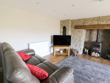 A living room with a gray sofa and red cushions a TV on a wooden stand a fireplace and a gray rug at Curtau in Llanfaredd near Builth Wells