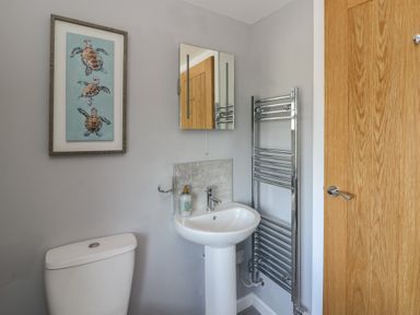 A bathroom with a toilet pedestal sink mirror towel radiator and a wall painting of three turtles at Curtau in Llanfaredd near Builth Wells