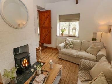 A living room with sofas fireplace coffee table and wooden door at The Stables Near Solva