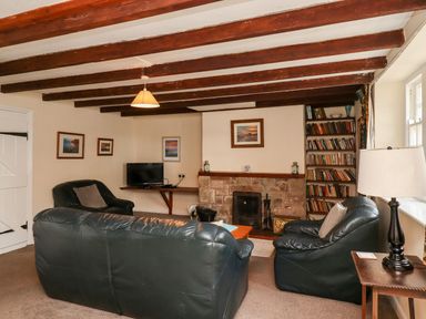 A living room with black leather sofas a fireplace a bookshelf and a television at Cherry Tree Cottage in Fallodon near Embleton