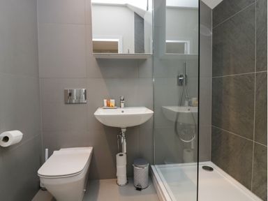 A bathroom with a toilet sink and shower at Brimstone in Backbarrow near Ulverston