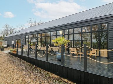 An outdoor patio area with chairs and a palm tree at Squirrel's Nest South Luffenham near Edith Weston