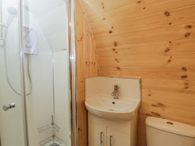 A bathroom with a shower cubicle sink with cabinet and toilet against wood panel walls at The Poddy Bushton near Lyneham