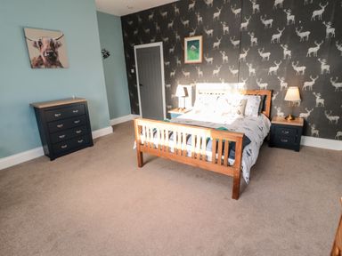 A bedroom with a wooden bed frame bedside tables with lamps a chest of drawers and animal wallpaper at Moorlaws Farm in Alnwick