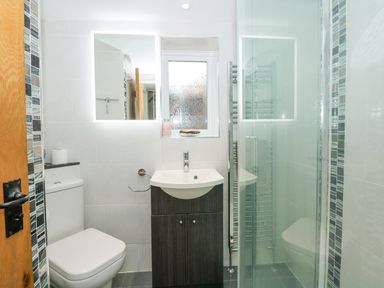 A bathroom with a toilet sink cabinet shower and mirror at Easter Cottage in Dersingham