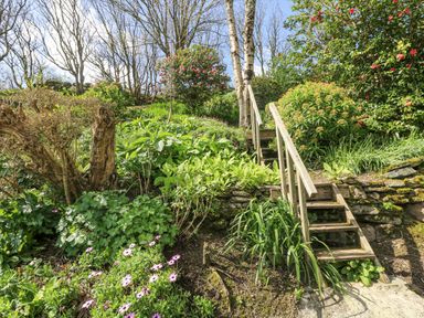 A garden with wooden steps and green plants surrounding at Godrevy in Porthcurno