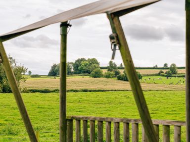 A green countryside field with trees and cows viewed through a wooden fence in Beech Dalwood