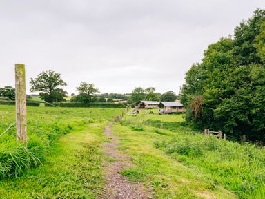 A dirt path through a grassy field leading to tents and picnic tables near trees at Beech in Dalwood