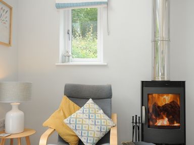 A chair with two cushions next to a side table with a lamp and a fireplace with fire at Otters Leap in Bideford