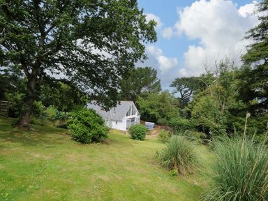 A white house surrounded by trees and grass with a blue sky at Otters Leap in Bideford