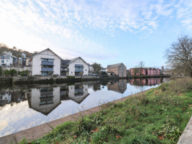 A river with buildings on the opposite bank and grass along the near bank at Little Rondeval in Totnes