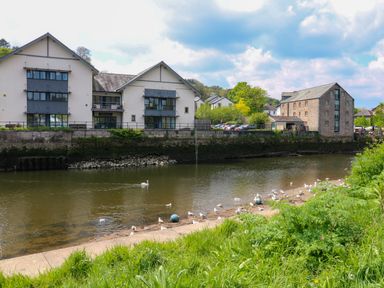 A river with birds on the bank and buildings across the water at Little Rondeval in Totnes