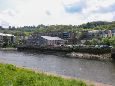 A river with swans near a row of residential and commercial buildings on a hillside with parked cars at Little Rondeval in Totnes