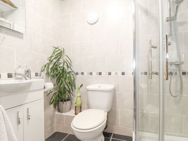 A bathroom with a toilet sink with cabinet shower enclosure and a potted plant at Riviere Barton in Hayle