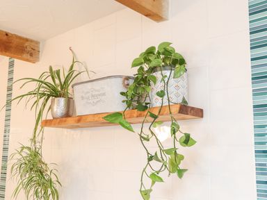 A wooden shelf with potted plants and a metal container on a tiled wall at Riviere Barton in Hayle