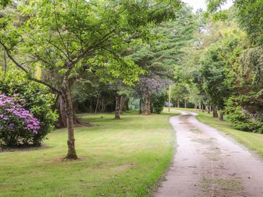 A winding path surrounded by grass trees and flowering bushes at Riviere Barton in Hayle