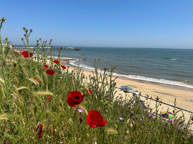 A coastal scene with wildflowers in the foreground a sandy beach and a pier extending into the sea at 11 The Craighurst in Southwold