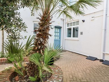 An outdoor courtyard with a palm tree and entrance door at 11 The Craighurst Southwold