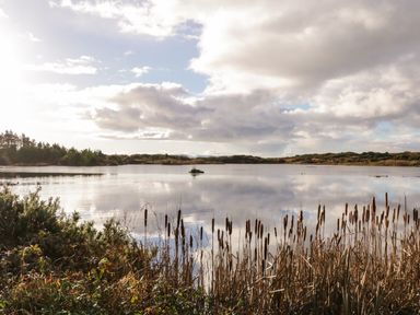 A lake with reeds in the foreground and bushes and trees around at The Wheelhouse Pod No 3 in Burtonport County Donegal