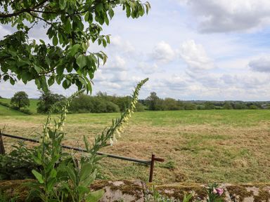 A green field with trees under a cloudy sky at Holmside in Audley Brow near Market Drayton