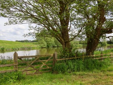A wooden fence and gate next to a tree by a pond with grassy fields in the background at Holmside Audley Brow near Market Drayton
