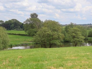 A grassy field with trees by a body of water at Holmside in Audley Brow near Market Drayton