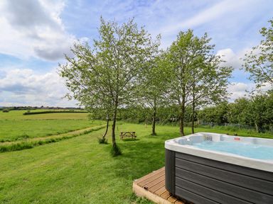 An outdoor area with a hot tub three trees and a picnic bench on grass at Holmside in Audley Brow near Market Drayton