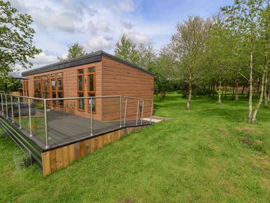 A wooden cabin with glass railing on a deck surrounded by green grass and trees at Holmside Audley Brow near Market Drayton
