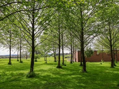 A grassy area with trees and a brown building at Holmside Audley Brow near Market Drayton